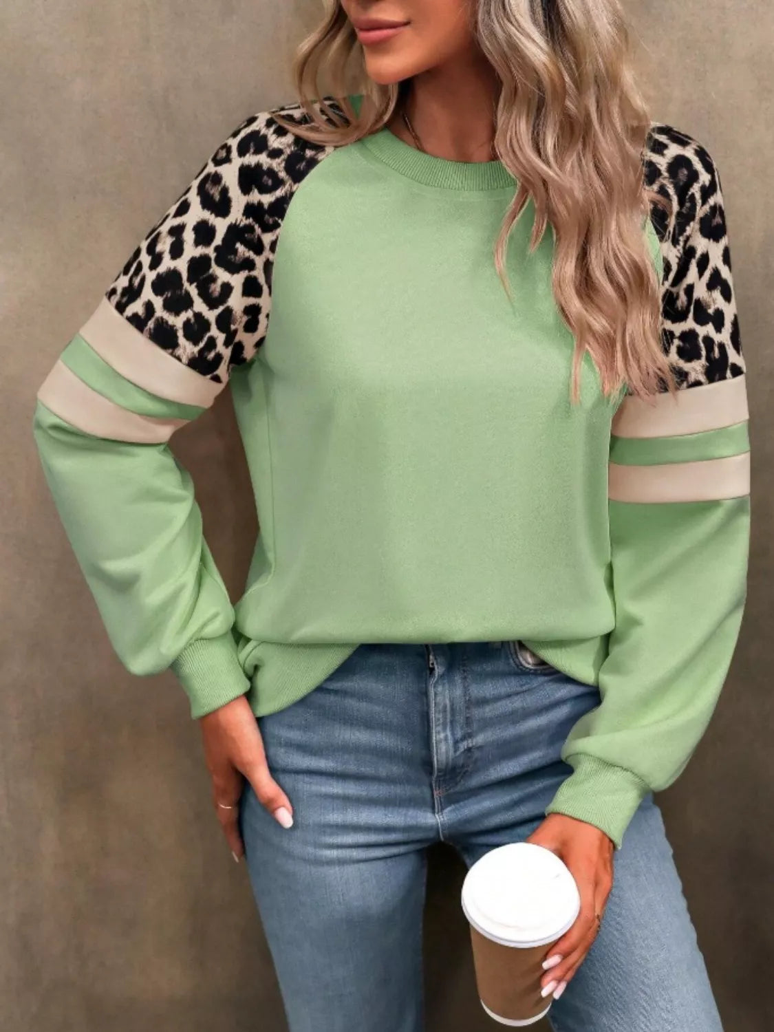 Leopard Raglan Sleeve Striped Sweatshirt