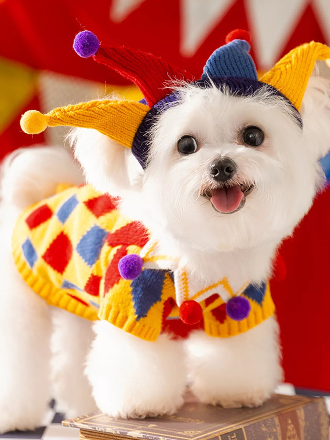 Ribbed Knit Pet Sweaters