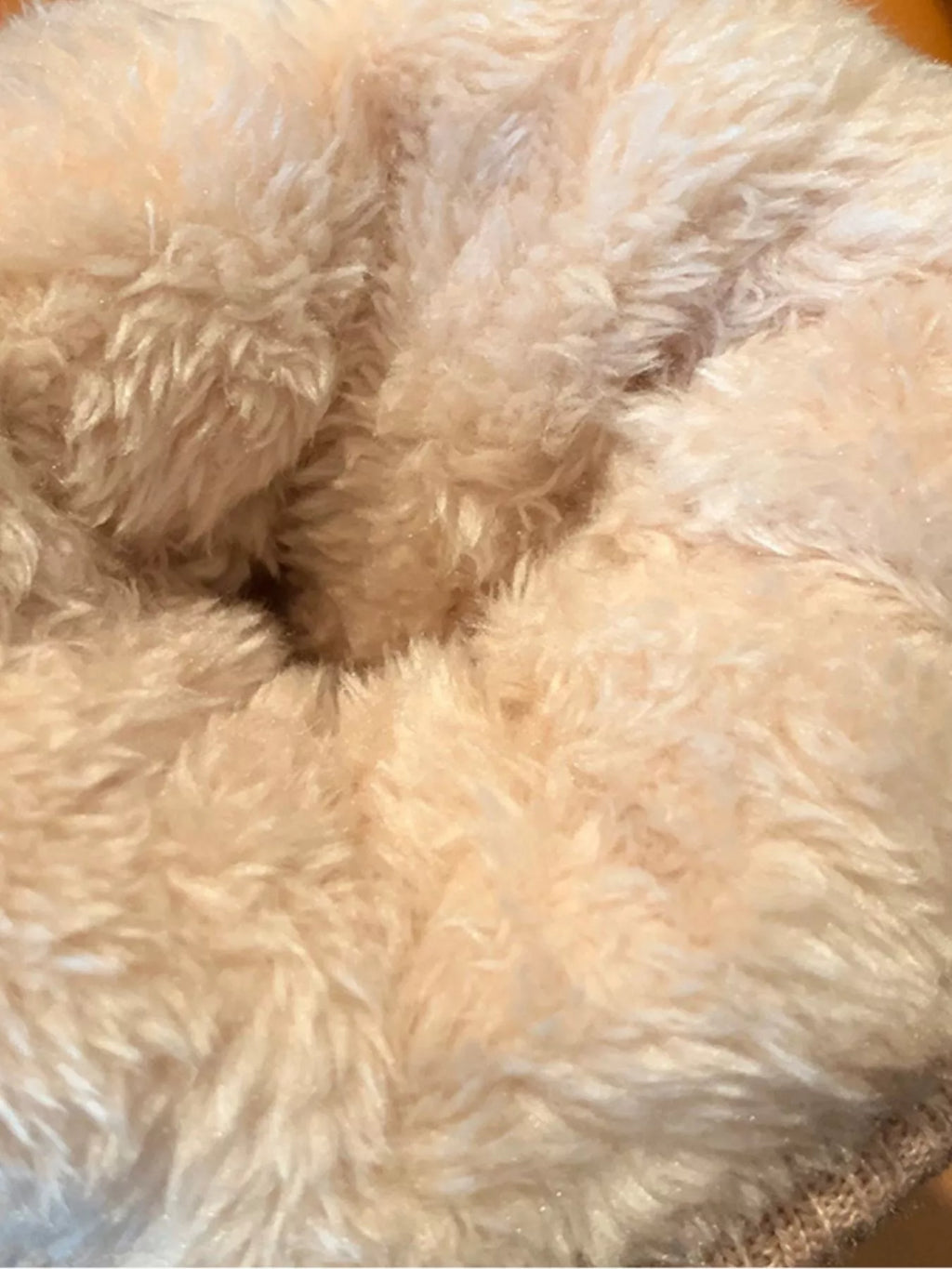 Bear Patterned Winter Gloves