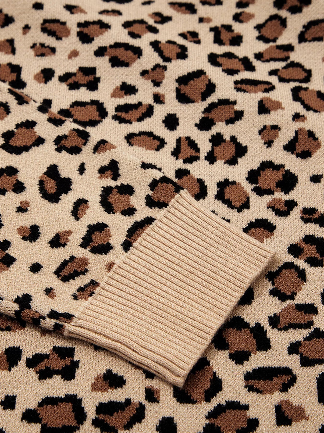 Leopard Long Sleeve Sweater