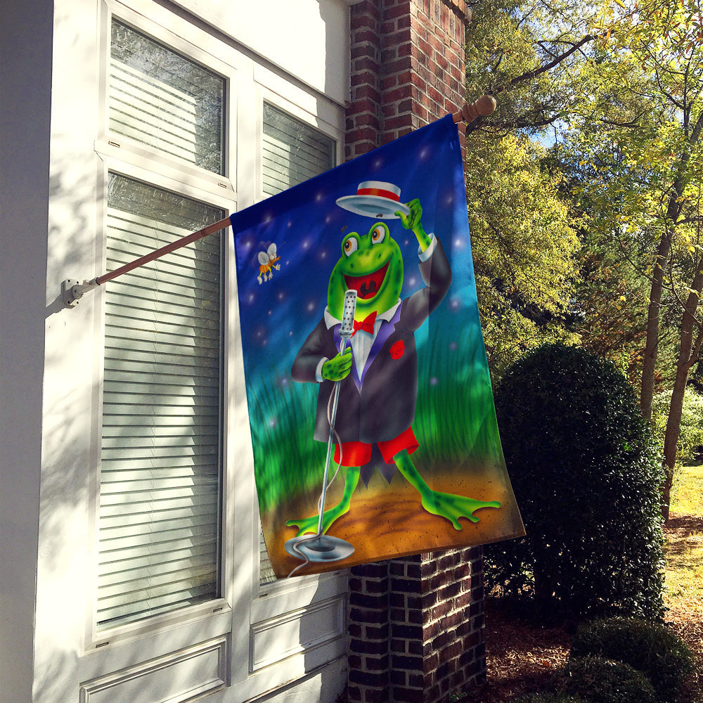 Frog Comedy Routine House Flag 28x40 Porch Sleeve Pole Decorative Outside Yard Banner Artwork Wall Hanging, Polyester