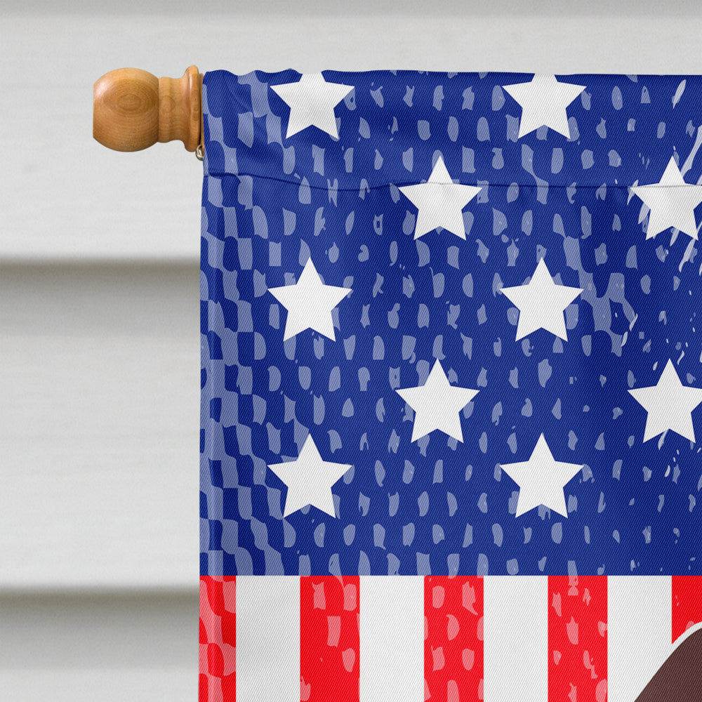 Patriotic USA Dachshund Chocolate House Flag 28x40 Porch Sleeve Pole Decorative Outside Yard Banner Artwork Wall Hanging, Polyester
