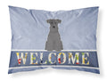 Miniature Schnauzer Black Welcome Standard Pillowcase Lightweight Super Soft Easy Care Decorative Artwork Pillowcase, Standard