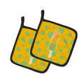 Ice Pop Popcicle Orange Green Pot Holder Set of 2 Heat Resistant Quilted Hot Pads 7.5 x 7.5 Inch, Insulated Kitchen Trivets for Cooking & Baking