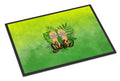 Aloha Flip Flops Doormat Indoor Outdoor 24H X 36W Front Door Mat Rugs for Entryway, Non Slip Washable Low Pile,