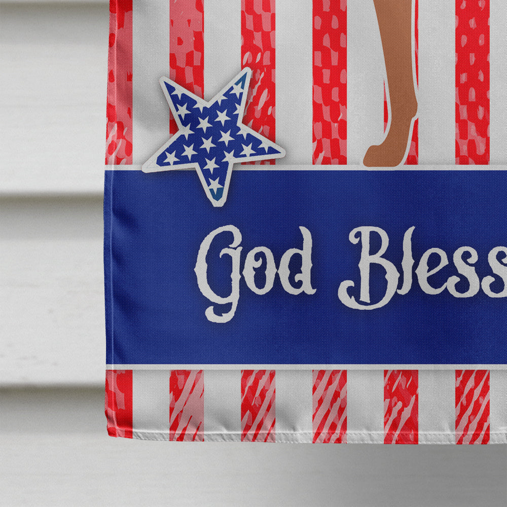 Rhodesian Ridgeback American House Flag 28x40 Porch Sleeve Pole Decorative Outside Yard Banner Artwork Wall Hanging, Polyester