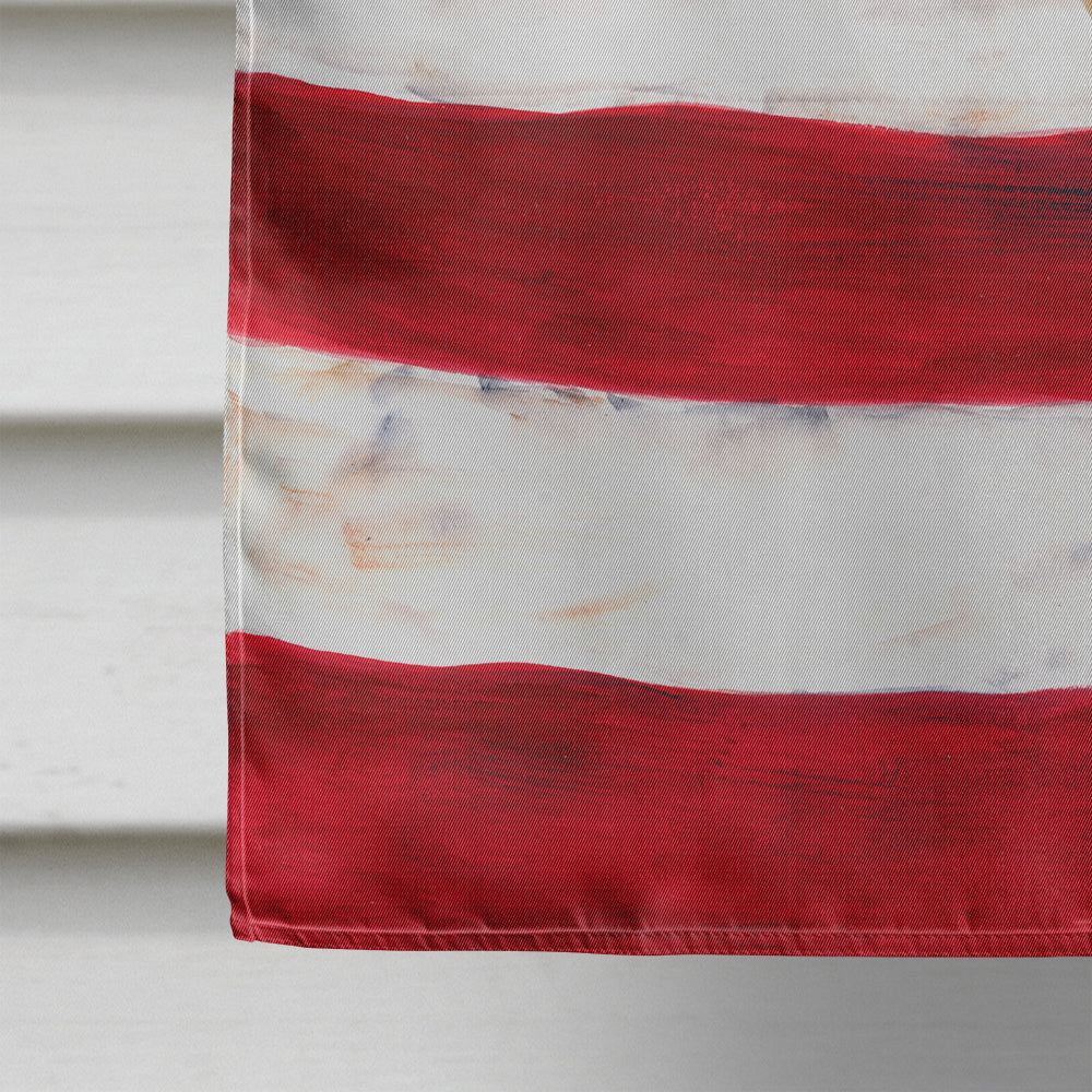 Italian Greyhound Patriotic House Flag 28x40 Porch Sleeve Pole Decorative Outside Yard Banner Artwork Wall Hanging, Polyester