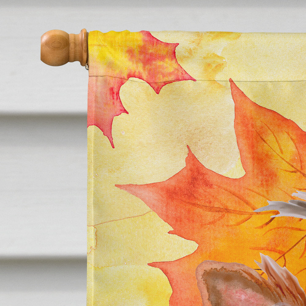 Yorkshire Terrier #2 Fall House Flag 28x40 Porch Sleeve Pole Decorative Outside Yard Banner Artwork Wall Hanging, Polyester