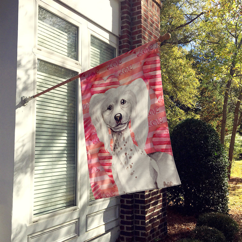 Chinese Crested Love House Flag 28x40 Porch Sleeve Pole Decorative Outside Yard Banner Artwork Wall Hanging, Polyester