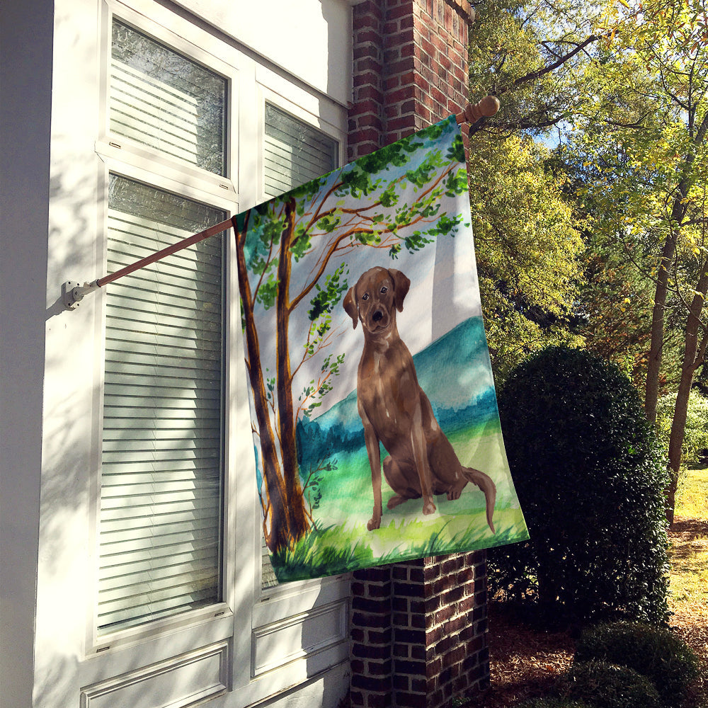 Under the Tree Chocolate Labrador House Flag 28x40 Porch Sleeve Pole Decorative Outside Yard Banner Artwork Wall Hanging, Polyester