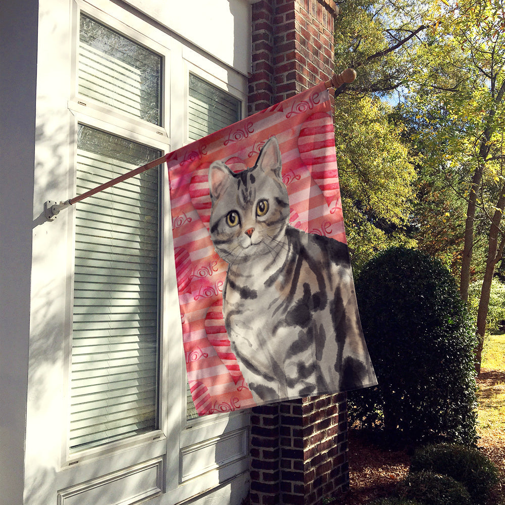 American Shorthair Cat Love House Flag 28x40 Porch Sleeve Pole Decorative Outside Yard Banner Artwork Wall Hanging, Polyester