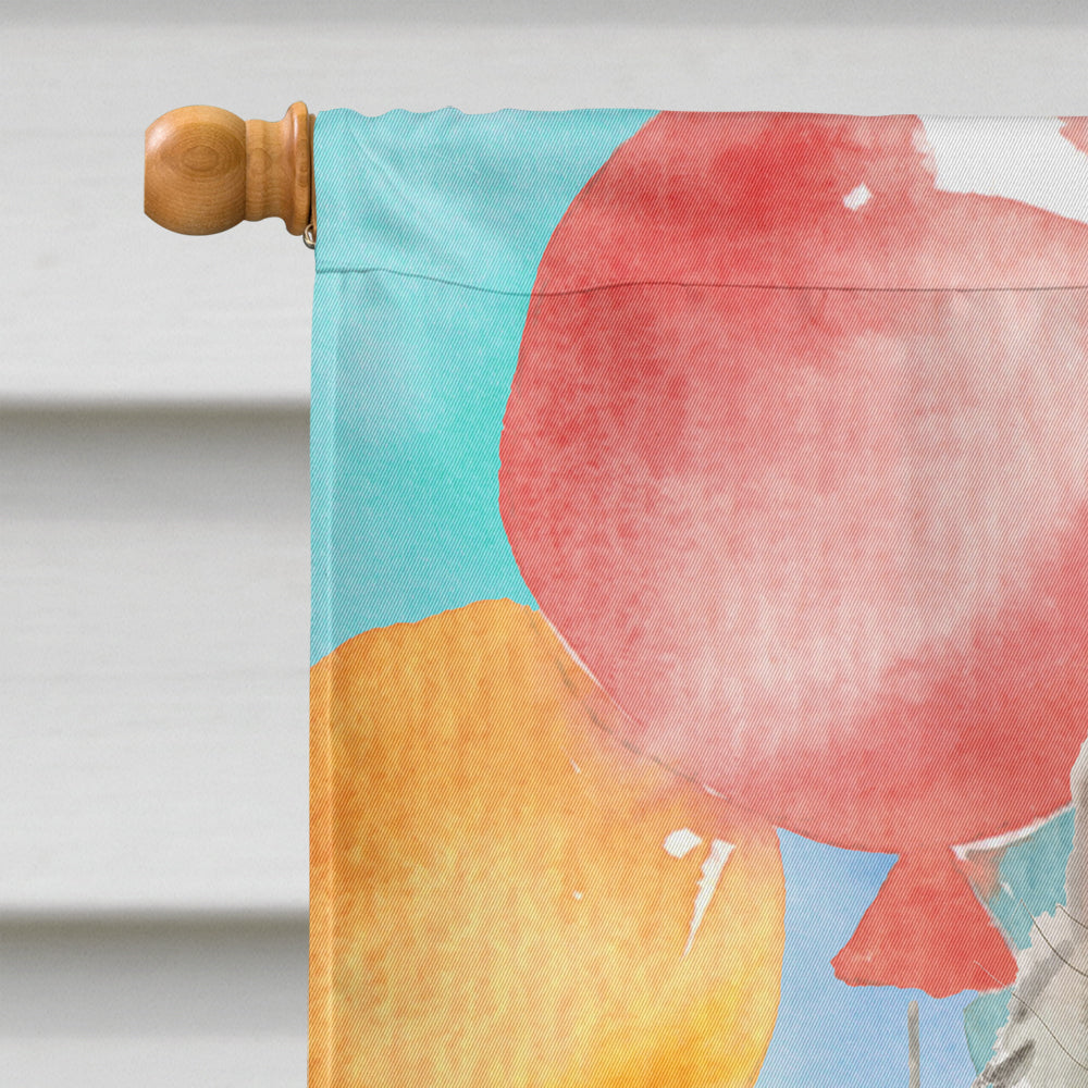 Ragamuffin Happy Birthday House Flag 28x40 Porch Sleeve Pole Decorative Outside Yard Banner Artwork Wall Hanging, Polyester