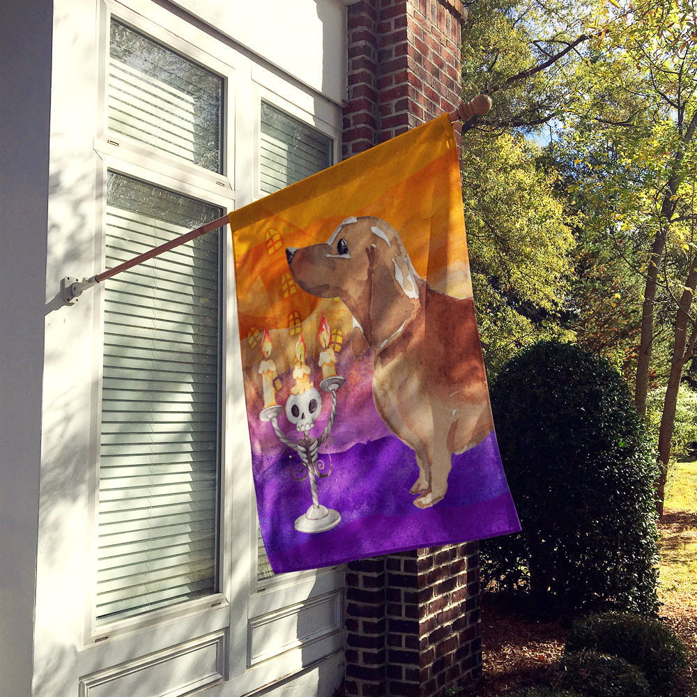 Halloween Red Dachshund House Flag 28x40 Porch Sleeve Pole Decorative Outside Yard Banner Artwork Wall Hanging, Polyester