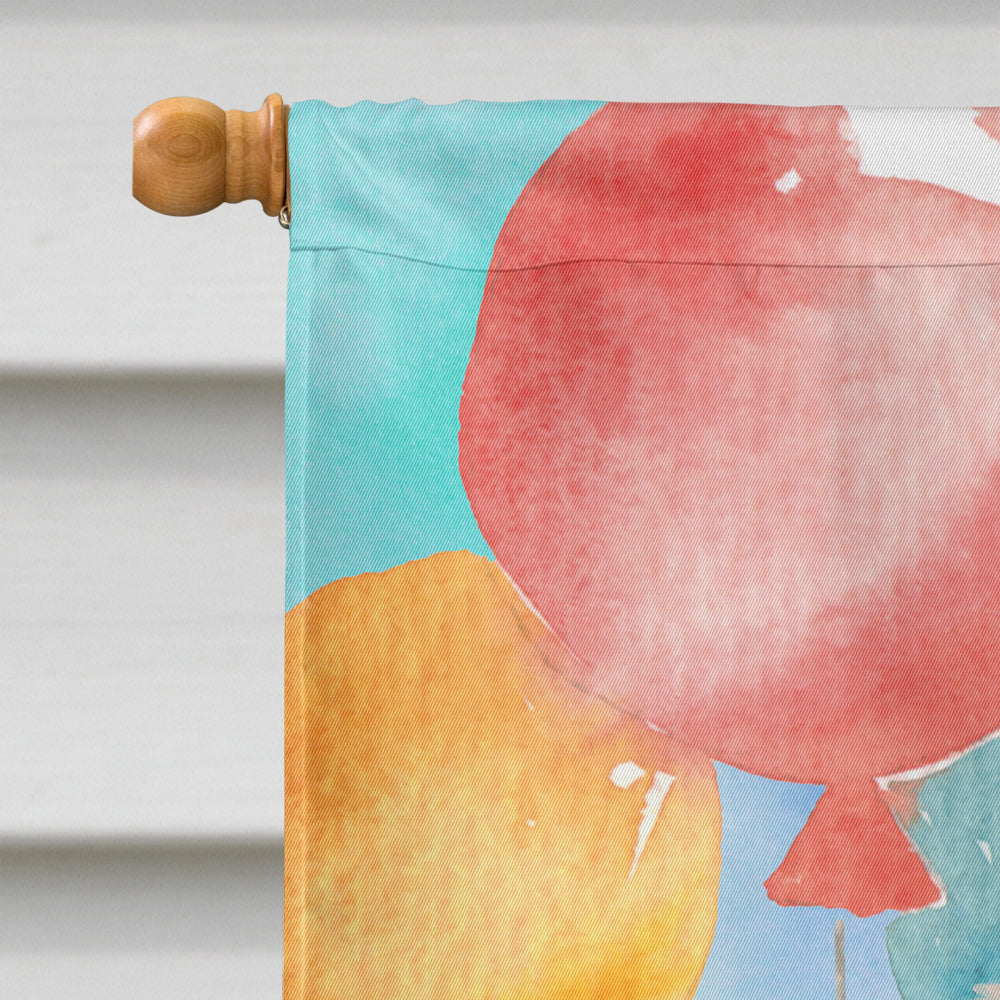 Happy Birthday Pomeranian House Flag 28x40 Porch Sleeve Pole Decorative Outside Yard Banner Artwork Wall Hanging, Polyester