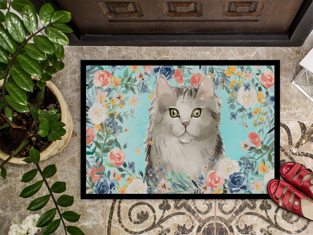 Ragamuffin Spring Flowers Doormat Indoor Outdoor 18H X 27W Front Door Mat Rugs for Entryway, Non Slip Washable