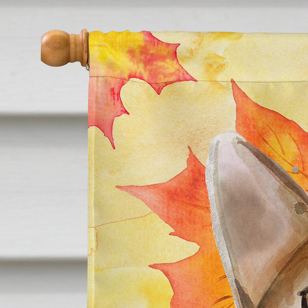 Löwchen or Little Lion Dog Welcome House Flag 28x40 Porch Sleeve Pole Decorative Outside Yard Banner Artwork Wall Hanging, Polyester