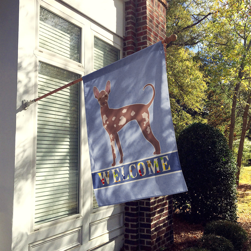 Mexican Hairless Dog Welcome House Flag 28x40 Porch Sleeve Pole Decorative Outside Yard Banner Artwork Wall Hanging, Polyester