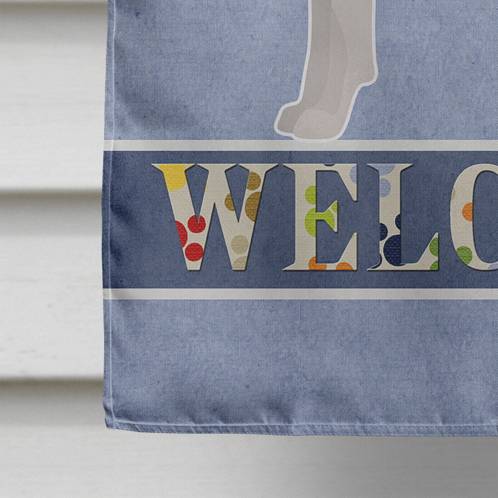 Tenterfield Terrier Welcome House Flag 28x40 Porch Sleeve Pole Decorative Outside Yard Banner Artwork Wall Hanging, Polyester