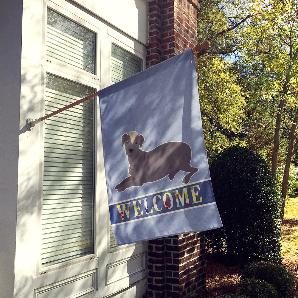 Ecuadorian Hairless Dog Welcome House Flag 28x40 Porch Sleeve Pole Decorative Outside Yard Banner Artwork Wall Hanging, Polyester
