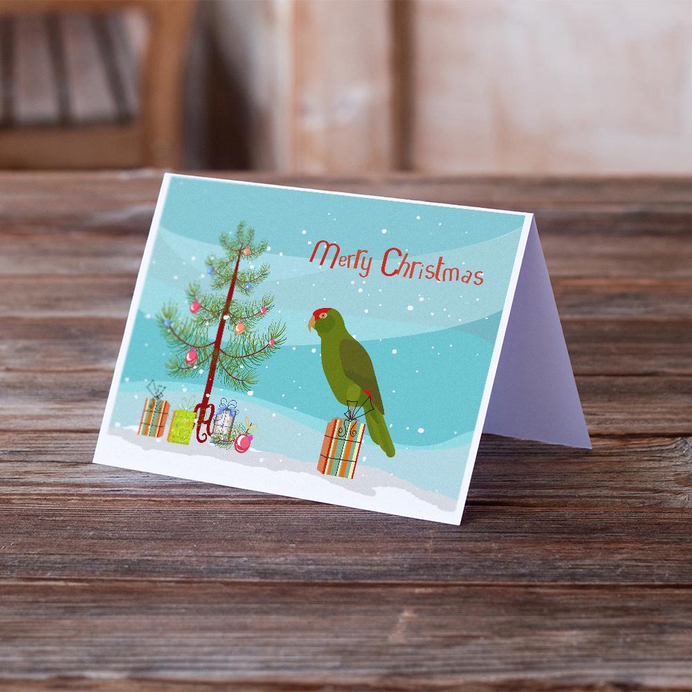 Amazon Parrot Merry Christmas Greeting Cards Pack of 8 Blank Cards with Envelopes Whimsical A7 Size 5x7