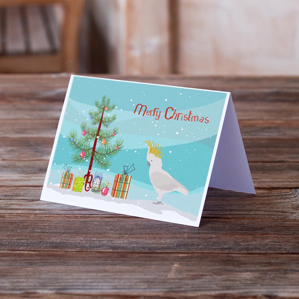 Cockatoo Merry Christmas Greeting Cards Pack of 8 Blank Cards with Envelopes Whimsical A7 Size 5x7