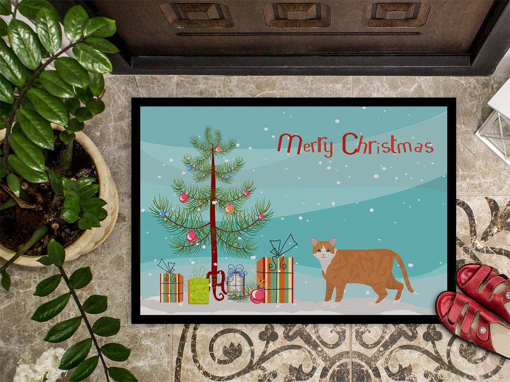 European Shorthair Cat Christmas Doormat Indoor Outdoor 18H X 27W Front Door Mat Rugs for Entryway, Non Slip Washable