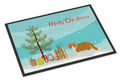 Exotic Shorthair Cat Christmas Doormat Indoor Outdoor 24H X 36W Front Door Mat Rugs for Entryway, Non Slip Washable Low Pile,