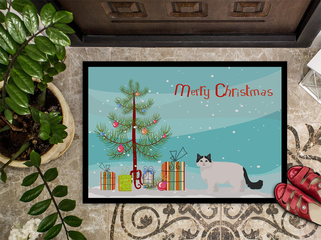 Ragamuffin Cat  Christmas Doormat Indoor Outdoor 18H X 27W Front Door Mat Rugs for Entryway, Non Slip Washable