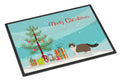 Ragdoll Cat  Christmas Doormat Indoor Outdoor 24H X 36W Front Door Mat Rugs for Entryway, Non Slip Washable Low Pile,