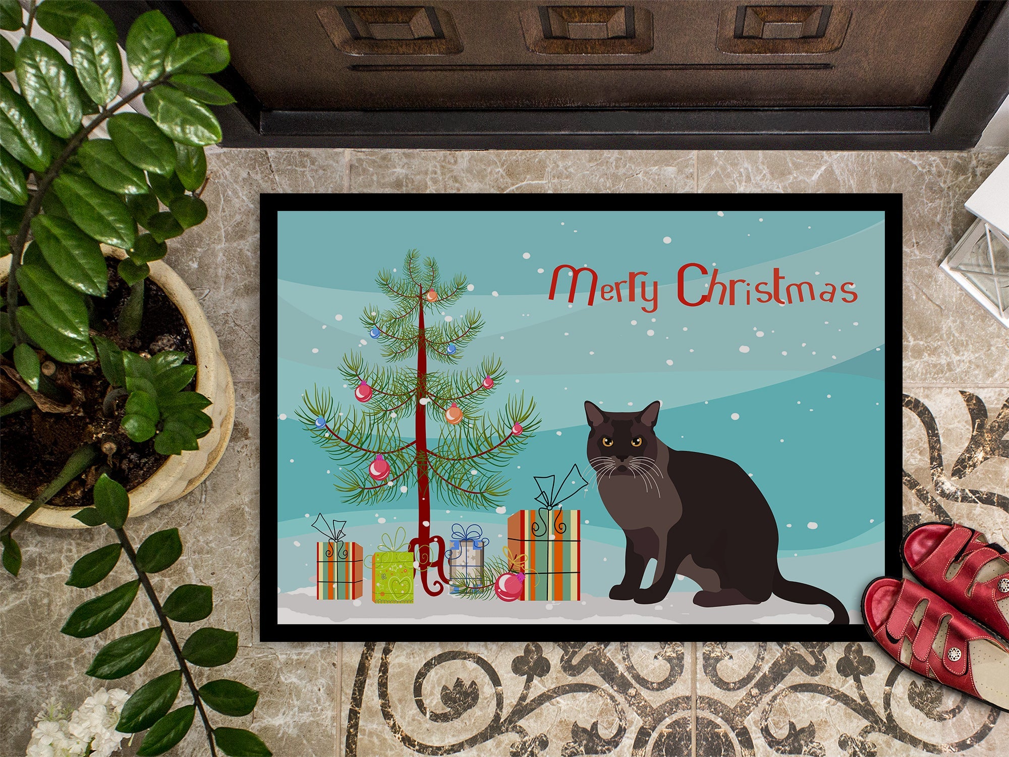 European Burmese Cat Christmas Doormat Indoor Outdoor 24H X 36W Front Door Mat Rugs for Entryway, Non Slip Washable Low Pile,