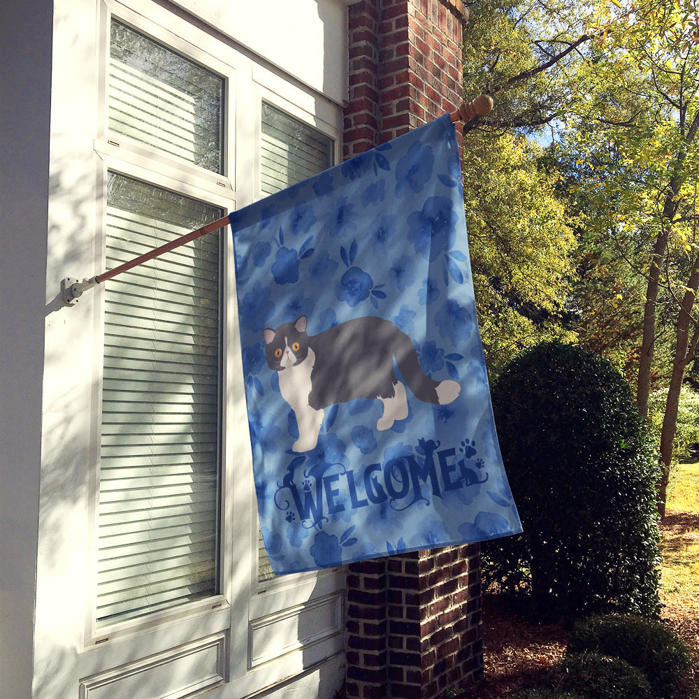 Exotic Shorthair #2 Cat Welcome House Flag 28x40 Porch Sleeve Pole Decorative Outside Yard Banner Artwork Wall Hanging, Polyester