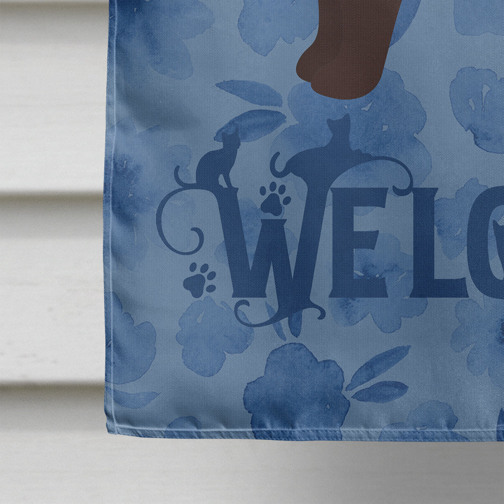 Owyhee Bob #2 Cat Welcome House Flag 28x40 Porch Sleeve Pole Decorative Outside Yard Banner Artwork Wall Hanging, Polyester
