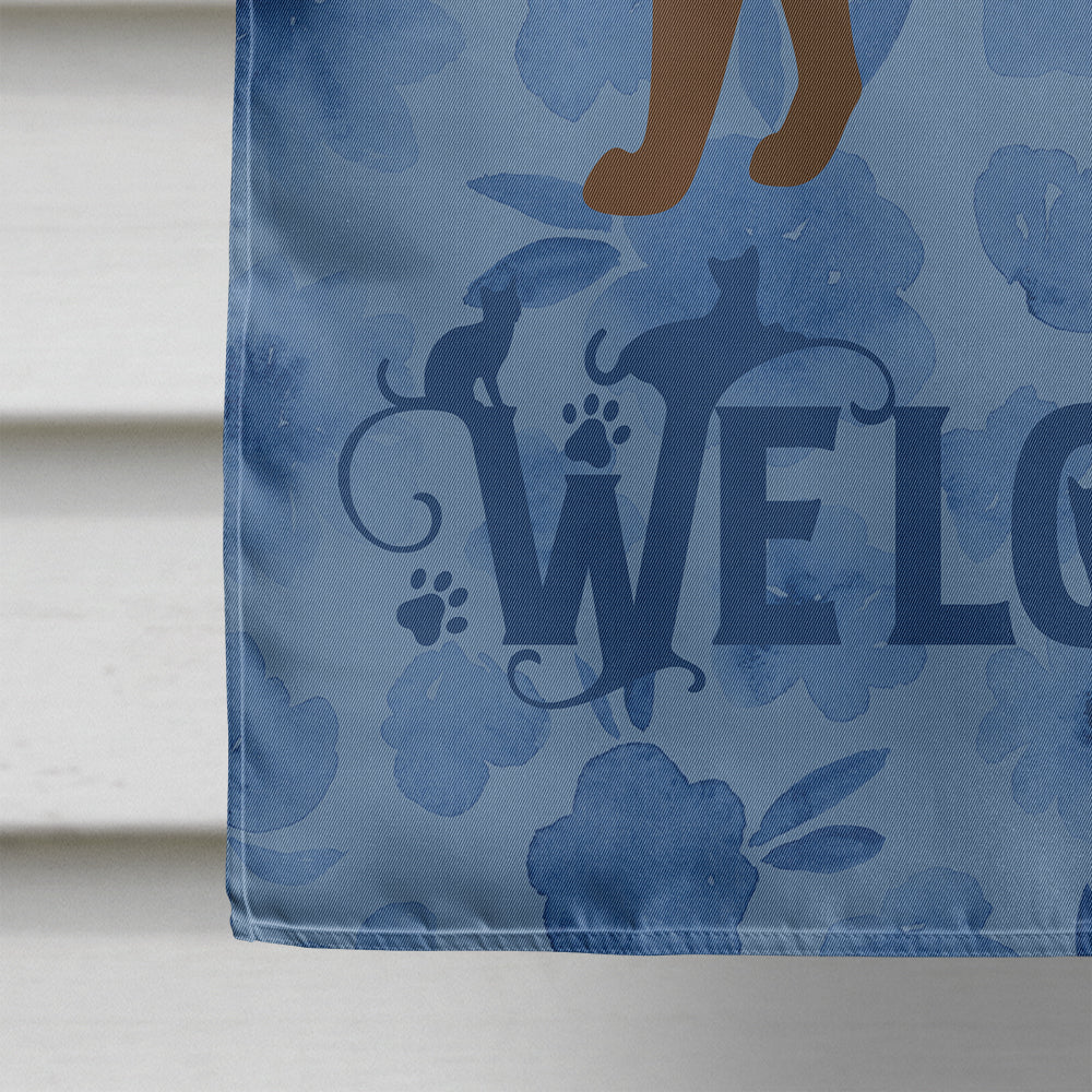 Suphalak Cat Welcome House Flag 28x40 Porch Sleeve Pole Decorative Outside Yard Banner Artwork Wall Hanging, Polyester