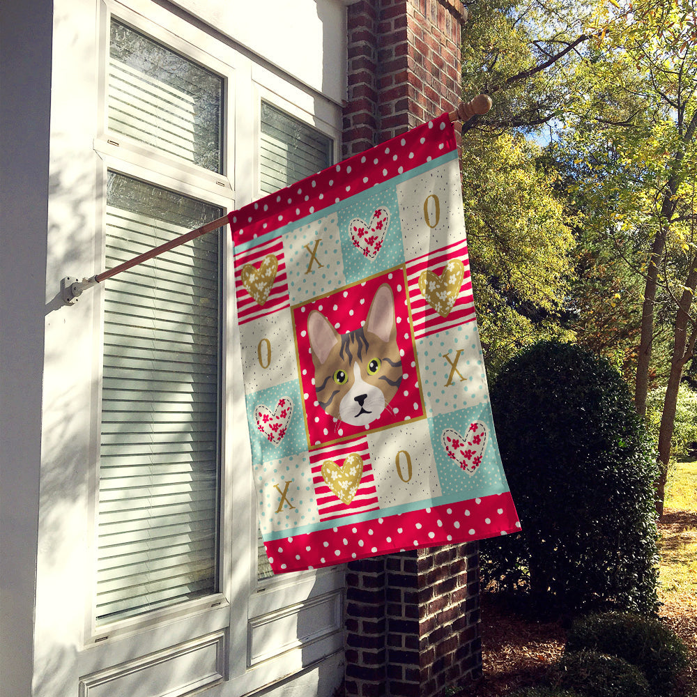 Dragon Li Cat Love House Flag 28x40 Porch Sleeve Pole Decorative Outside Yard Banner Artwork Wall Hanging, Polyester