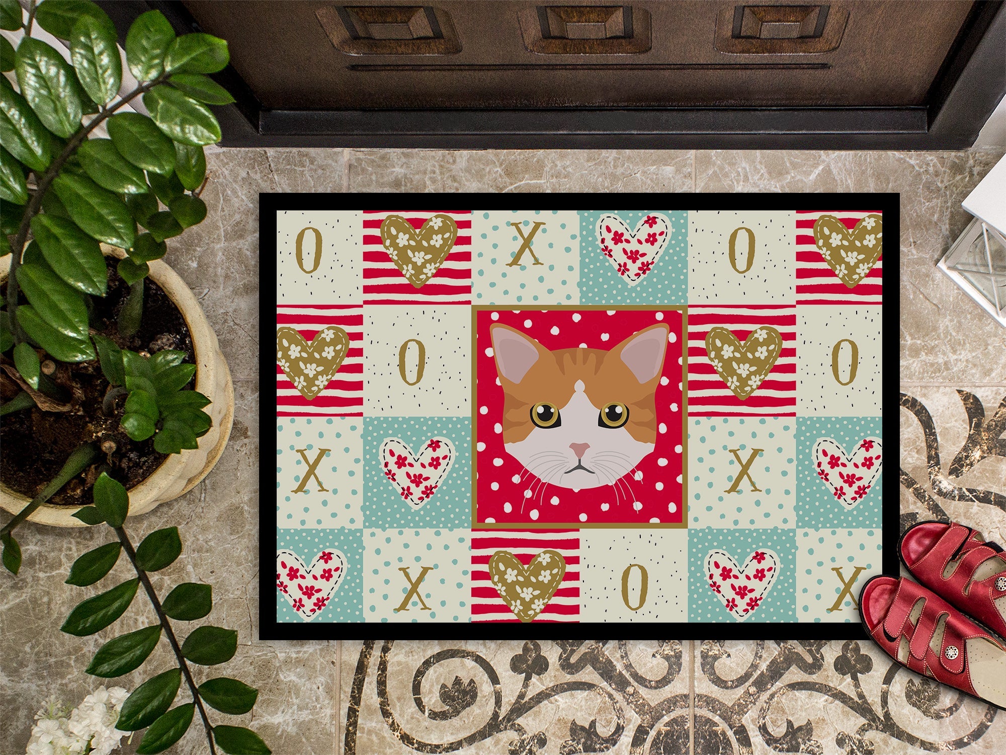 European Shorthair Cat Love Doormat Indoor Outdoor 18H X 27W Front Door Mat Rugs for Entryway, Non Slip Washable