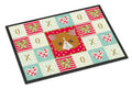 Exotic Shorthair Cat Love Doormat Indoor Outdoor 24H X 36W Front Door Mat Rugs for Entryway, Non Slip Washable Low Pile,