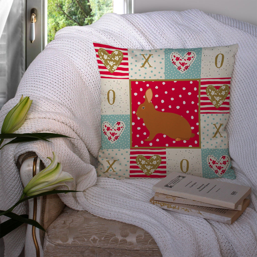 Rex Rabbit Love Decorative Throw Pillow 14x14 Indoor Outdoor Accent Cushion, Fabric Cover with Insert for Sofa, Bed, Porch & Living Room