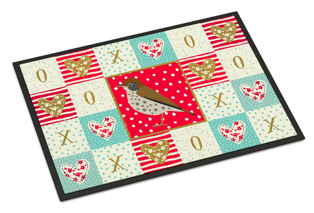 Thrush Love Doormat Indoor Outdoor 24H X 36W Front Door Mat Rugs for Entryway, Non Slip Washable Low Pile,
