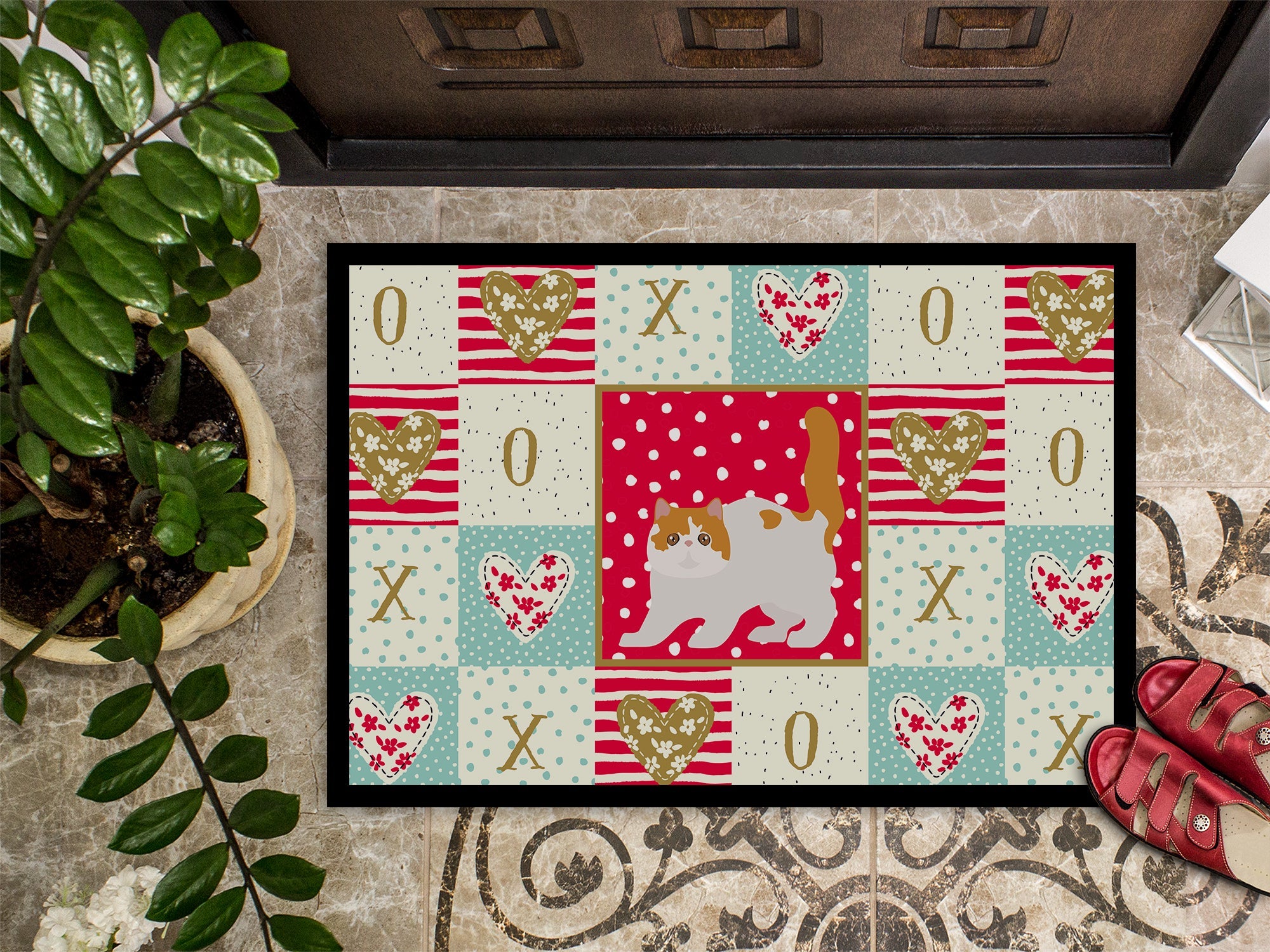 Exotic Shorthair #4 Cat Love Doormat Indoor Outdoor 18H X 27W Front Door Mat Rugs for Entryway, Non Slip Washable