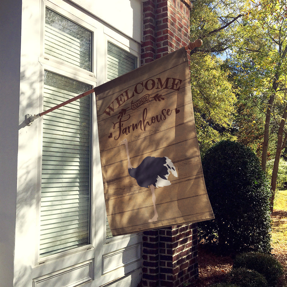 Common Ostrich Welcome House Flag 28x40 Porch Sleeve Pole Decorative Outside Yard Banner Artwork Wall Hanging, Polyester