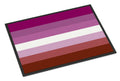 Lesbian Pride Doormat Indoor Outdoor 24H X 36W Front Door Mat Rugs for Entryway, Non Slip Washable Low Pile,