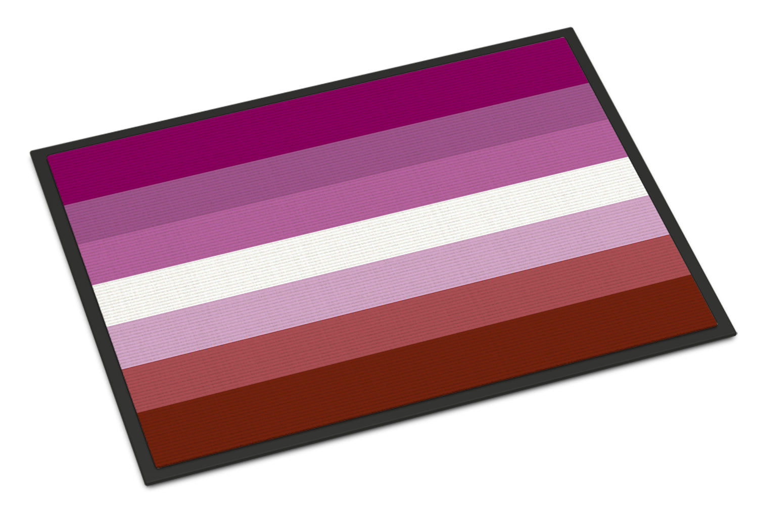 Lesbian Pride Doormat Indoor Outdoor 24H X 36W Front Door Mat Rugs for Entryway, Non Slip Washable Low Pile,