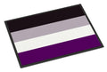 Asexual Pride Doormat Indoor Outdoor 18H X 27W Front Door Mat Rugs for Entryway, Non Slip Washable