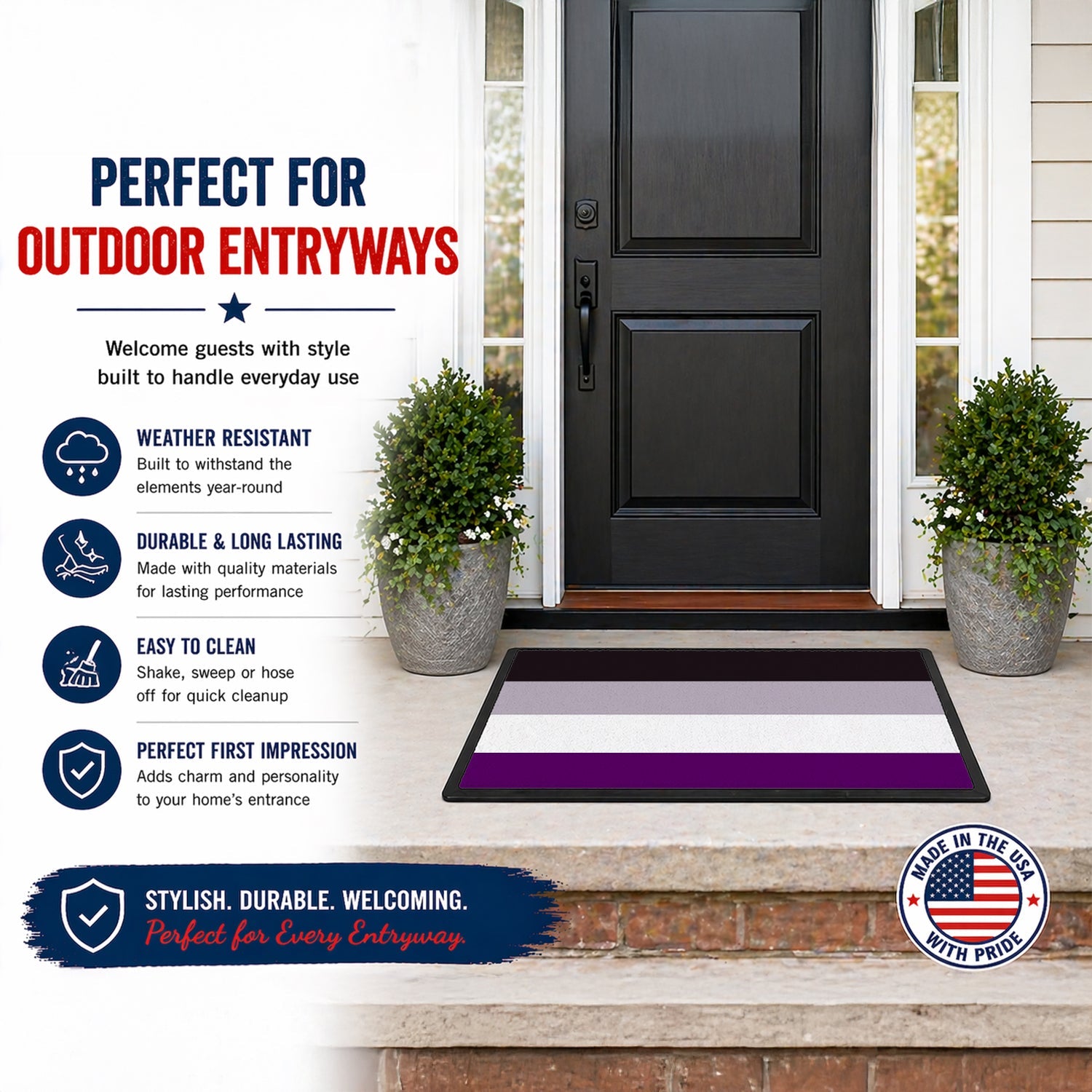 Asexual Pride Doormat Indoor Outdoor 18H X 27W Front Door Mat Rugs for Entryway, Non Slip Washable