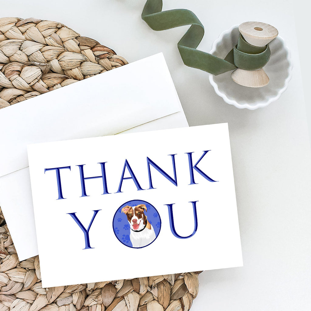 Australian Shepherd Red and White #2 Thank You Greeting Cards Pack of 8 Blank Cards with Envelopes Whimsical A7 Size 5x7