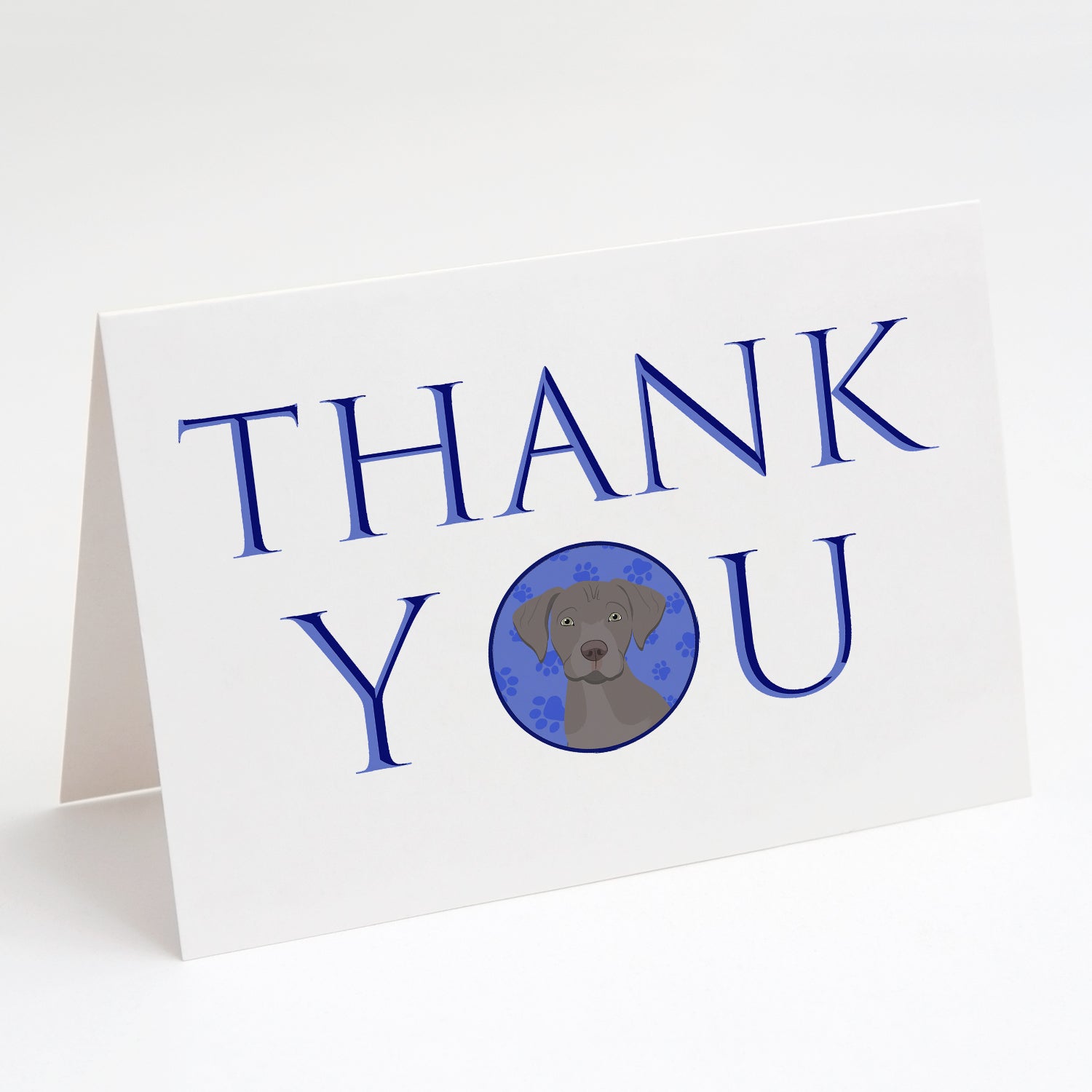 Labrador Retriever Gray Puppy Thank You Greeting Cards Pack of 8 Blank Cards with Envelopes Whimsical A7 Size 5x7