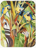 Parrots Cutting Board Tempered Glass Kitchen Cutting Surface, Heat Resistant Chopping, Non-Slip Feet, Food Prep & Serving
