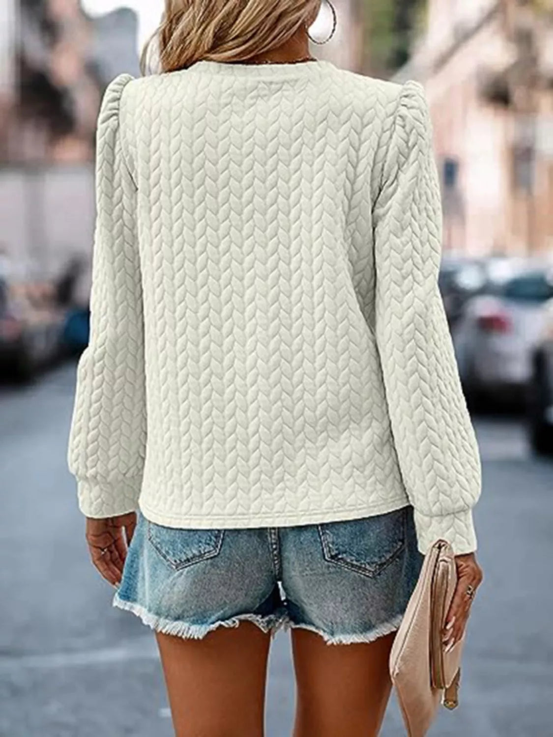 Textured Round Neck Long Sleeve Blouse